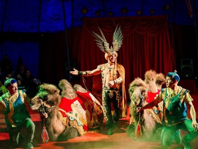 Билеты на Цирк «Феникс» (Цирк-шапито «Феникс») / Событие | Афиша | ИнфоТаймс