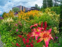 Парк «Роев ручей»