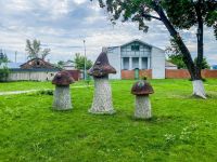 Задонский городской парк