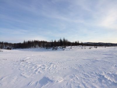 Памятное место разгрома белобандитов красным отрядом Петрова (Халлааскы) в феврале 1931 г.