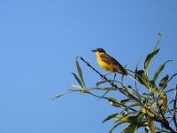 Природный парк «Воскресенское Поветлужье»