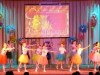 Весело-Вознесеновский дом культуры