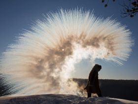 Арктическая автоэкспедиция "Индигирка". Якутск – Оймякон – Чокурдах – Русское Устье