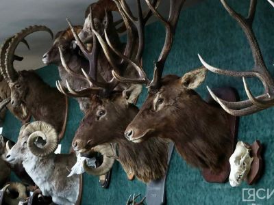 Айсен Николаев поздравил с Днем охотника в Якутии