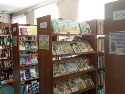 Библиотека-филиал № 4 г. Артема