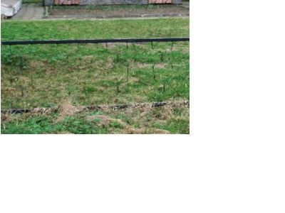 Обелиск Герою Советского Союза П.Т. Лихачеву