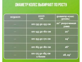 Складной велосипед Stels Pilot 410 C 20 Z010, год 2025, цвет Красный, ростовка 13