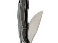 Складной нож Petrified Fish Hairtail, сталь K110, рукоять карбон