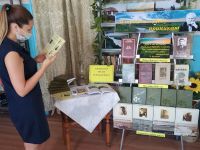 Николаевская сельская библиотека