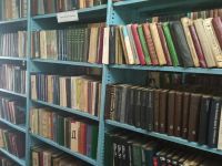 Владыченская библиотека