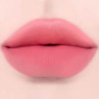 Жидкая матовая помада для губ Dinto Madame Butterfly Collection Blurring Lip Veil 101 Rubato