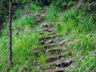 Дороги на о. Святом