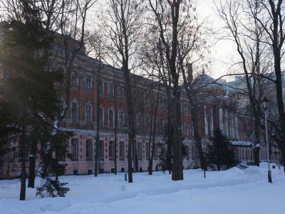 Сады при Клинике для душевнобольных: пять садов перед главным фасадом Клиники, четыре сада у одноэтажных флигелей