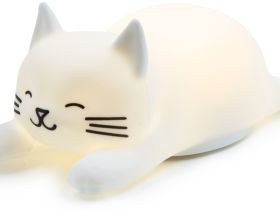 Ночник «Спящий Пуш»