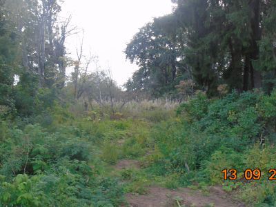 Усадьба. Парк