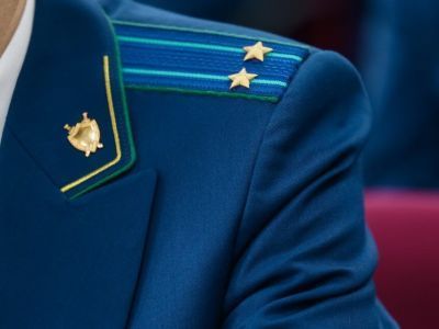 В Мирном проверяют информацию о жестоком обращении с животными