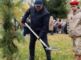 В Казани состоялась акция в рамках Всероссийского проекта «Кедры Великой Победы»