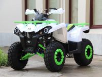 Квадроцикл IRIDE 200 Rover