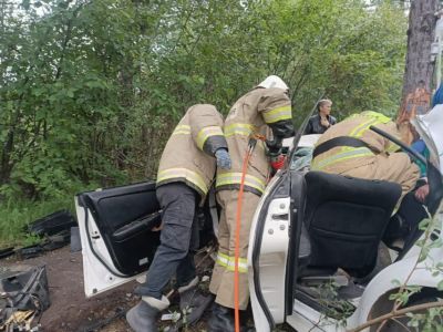 В Нерюнгринском районе автомобиль наехал на дерево