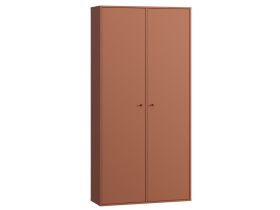 Распашной шкаф Сайрис 2-98x202 Терракотовый