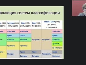Международный вебинар "Человек как биологический вид"