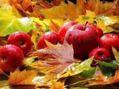 14 сентября — Семёнов день: приметы, что можно и нельзя делать