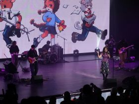 Картонная битва, аниме-косплеи и музыка: в Якутске прошёл фестиваль «Хотон»