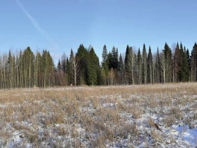 Священная роща «Юмылан пумаш» (Место для жертвования богу)