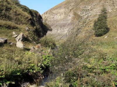 Верхняя водяная мельница