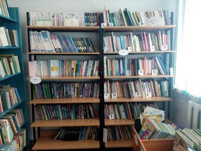 Берёзовская сельская библиотека