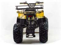 Квадроцикл MOTOLAND 150 Maverick
