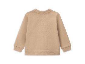 Свитшот для маленького мальчика