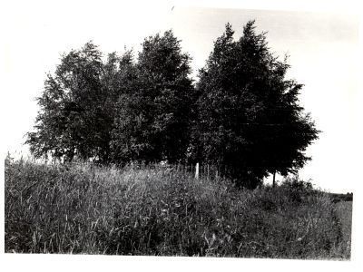 Братская могила советских воинов, погибших в боях с фашистами