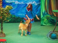 Театр «Уголок дедушки Дурова»