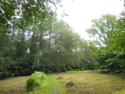 Парк и архитектурный ансамбль XVIII-XIX вв. усадьбы "Выбити"