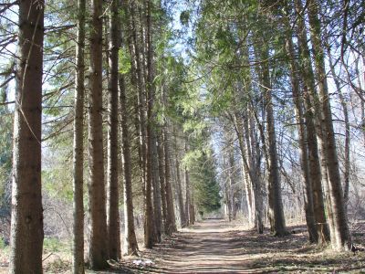 Усадебный парк