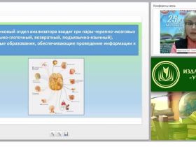 Характеристика детей с ОНР: определение, периодизация, обследование