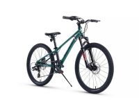 Подростковый велосипед Maxiscoo 7 Bike 24 M300, год 2024, цвет Зеленый