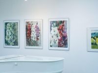 Петрозаводский городской выставочный зал