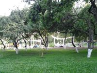 Парк «Костино»