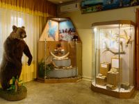 Вятскополянский исторический музей