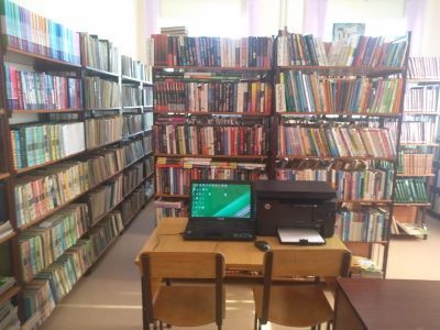 Нижнетигинская сельская библиотека