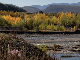 Автопутешествие "Якутск - Оймякон - Магадан" (Летний сезон)