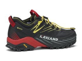 Ботинки DUKE GTX