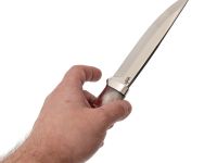 Нож Шершень, сталь 95х18, рукоять кап клена