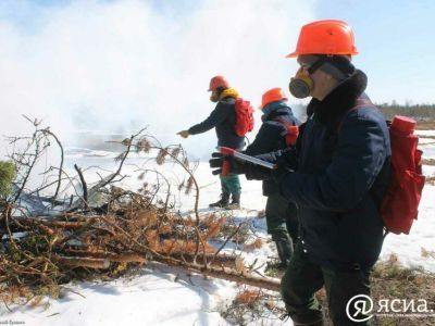 ТОП-10: Борьба с коррупцией, подготовка детских лагерей и к пожароопасному сезону