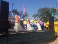 Добровский сельский дом культуры