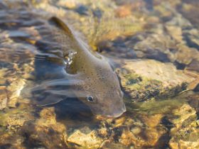 Рыбалка на реке Туолба
