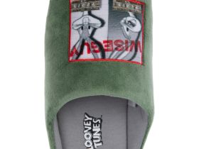 Тапочки для мальчиков