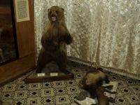 Краеведческий музей с. Лаврентия